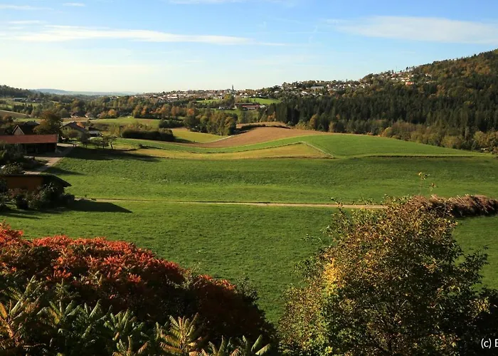 Hauzenberg-panorama * Hauzenberg